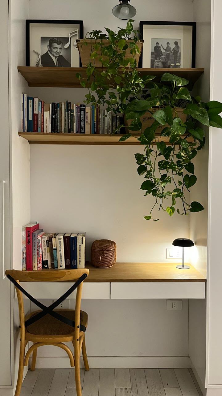 Rincón de escritorio con libros ordenados en estantes de madera y una planta colgante